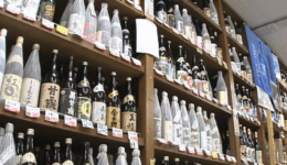 11月1日は本格焼酎の日です！