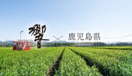 レストランフェア「鹿児島県×ダイナック」【東京・横浜】