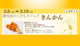鹿児島県産きんかんフェア【福岡】